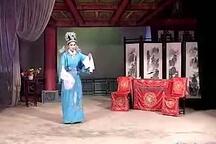 婆与媳 全本