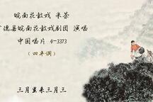 采茶 全场