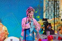 拾棉花 全场