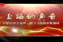 上海的声音:沪剧王盘声杨飞飞流派演唱会3部 上海的声音:沪剧王盘声杨飞飞流派演唱会3部