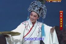 越剧盘妻索妻王君安李敏经典全剧高清
