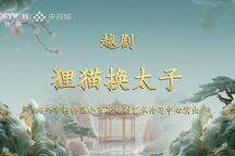 越剧狸猫换太子像音像吴凤花吴素英陈飞全剧