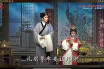 越剧《珍珠塔》杨爱妮   浙江琼芳越剧团   