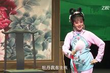 戏牡丹 全场
