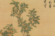 杭剧丽歌唱片6部