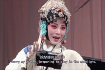 昆曲《玉簪记·琴挑》钱振荣 龚隐雷 细品版7部