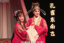 孔雀东南飞 全场