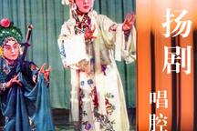 扬剧堆字大陆板名家唱段合集经典唱腔欣赏