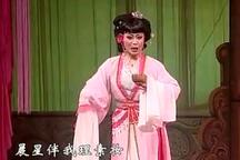 【扬剧】《珊瑚情》 王学琴、林长树、吴义