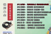 锡剧经典唱段精选mp3 精选集