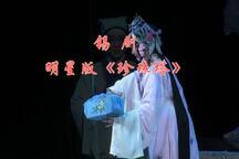 2015年明星版锡剧《珍珠塔》9部