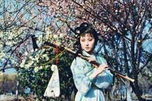 淮海戏红楼梦全剧许亚玲经典唱段