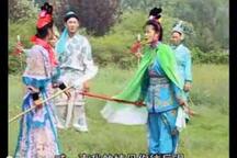 杨琴戏十二寡妇征西 全场