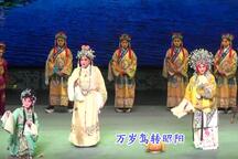 金丸记（狸猫换太子） 全场