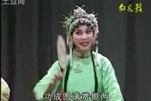 湖南衡阳花鼓戏张子映老师合集《 十古怪、