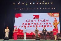 汉剧名家名段 11部