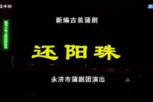 还阳珠 全场