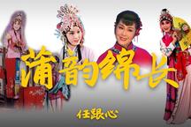 蒲剧【任跟心】唱段合集（持续更新）15部