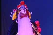 二进宫 全场
