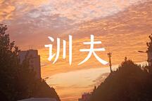 训夫