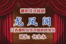 龙凤阁 全剧