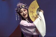 牡丹亭·游园 片段下载