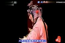 牡丹亭·游园惊梦 选段