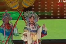 贵妃醉酒 片段