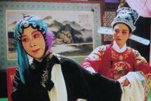 排环记又名拷打红梅 完整版