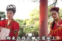 罗帕记 全场下载