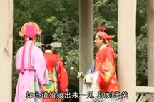抚州采茶戏二度梅4（2002年版）