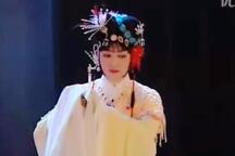 追鱼 观灯 片段
