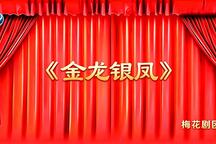 098 莆仙戏《金龙银凤》梅花剧团5部
