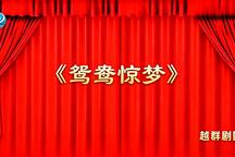 莆仙戏鸳鸯惊梦全剧高清在线观看