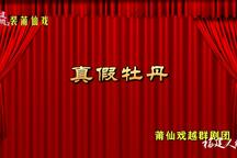 真假牡丹 全场