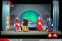 芗剧-歌仔戏全集（玉牡丹、凤尾接龙须、吴美