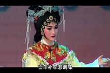 狸猫换太子潮剧全剧高清在线观看