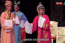 潮剧金花女全剧八场高清在线观看