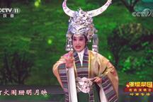 岭南圣母 选段