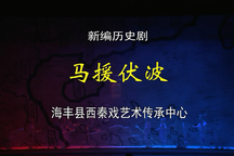 马援伏波西秦戏全剧高清在线观看吕维平