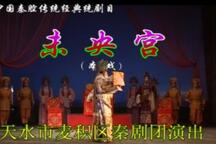 秦腔未央宫全本杨安民经典唱段