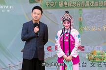 金碗钗 选段
