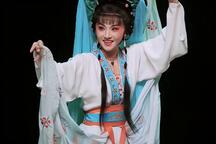 滇剧京娘陈莉依白洋经典唱段合集赏析